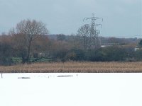 view from east hide of pollarded area 30th nov10.jpg