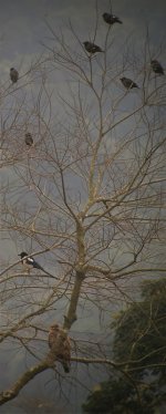 buzzard, magpie, crested myna.jpg