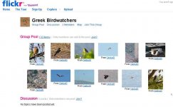 Flickr page.jpg