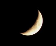 Crescent moon.jpg