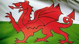 flag_welsh_446.jpg