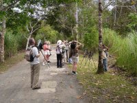 Group - Chagres River, Panama.jpg