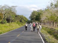 Roadside birding - El Chiru, photo by Blake Maybank.jpg