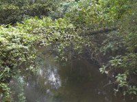 The Pipeline - Pipeline Road, Panama - copyright by Blake Maybank.jpg