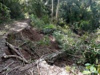 Landslide - Pipeline Road, Panama - copyright by Blake Maybank.jpg