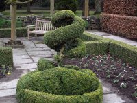 Lotherton-topiary.jpg