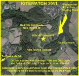 Kitewatch 2011X.jpg