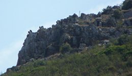 Griffon Vultures 'on the rocks'! [].JPG