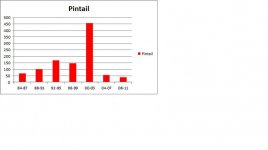 Pintail - 4 year totals.jpg