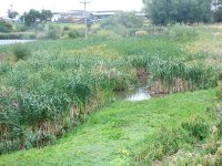 3.sluice channel.jpg