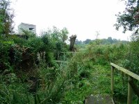 1.view from back of west hide.jpg