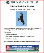 NT Gibside Kite Ramble 1.JPG