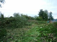 3.bramble patch salwrp track.jpg