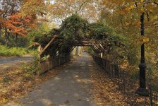 covered walkway central park NY V1_DSC6424.jpg