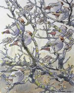 waxwings and keys.JPG