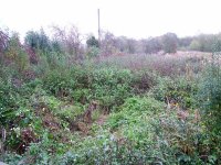 view from NM hide after willows removed.jpg