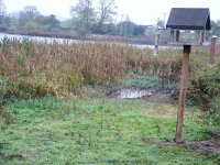 start of the start of new channel to south of water rail hide..jpg