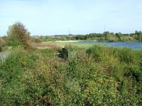 2.view north from west hide afta work 4th Oct 11.jpg