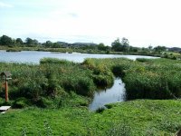 view south from west hide afta willos removed 4th Oct 11.jpg