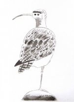 Whimbrel.jpg