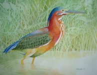 green heron II.JPG