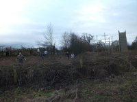 3.the dead hedge by flashes bridge.jpg