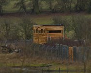 Avocet Hide_reduced.jpg