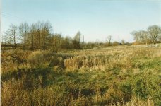 3.NE wood from east gate 1988.jpg