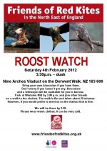 Roost watch  4Feb 12 .jpg