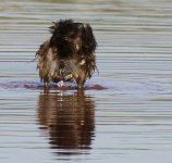 mess_Pulau Burung_140112_IMG_0893.jpg