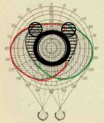 visual_fields - Kopia.jpg