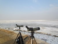 An empty Jinzhou Bay.jpg