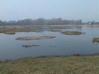 4.Amy's marsh.JPG