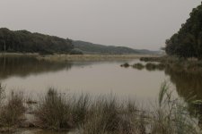 Lac de Sidi Bourhaba (main lake from causeway) (23.03.12).jpg