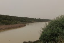 Lac de Sidi Bourhaba (south end) (23.03.12).jpg