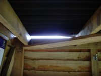 Avocet Hide roof.jpg