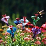 glass-hummingbird-feeder-stakes-colors.jpg