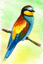 european_bee_eater_by_twapa-d4c9uuu.jpg