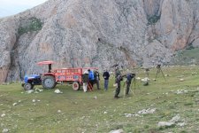 004 Tractor, Trailer & Birders.jpg