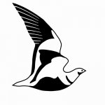 OSME sandgrouse logo.jpg