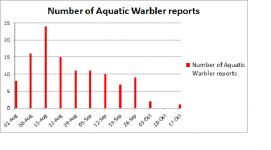 Aquatic Warbler.png