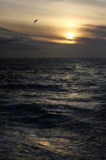 2012_10_06_Sea_Evening (533x800).jpg