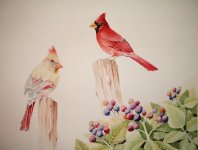 cardinals and blackberries.JPG
