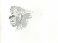 Lowland-gorilla-fail-1.jpg