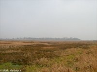 1968_Poyang_marshlands.jpg