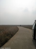 1970_Poyang_marshlands.jpg