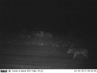 2013_02_Spain (1000) Trailcam (800x600).jpg