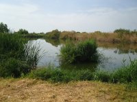 Metochi Lake (Kalloni inland Lake) 070510LQ.jpg