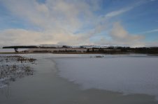 From the Gullery Hide.jpg