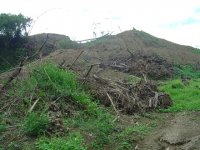 Deforestation of Huben 1.JPG